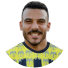 شكري نجيب
